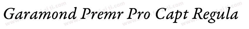 Garamond Premr Pro Capt Regular字体转换
